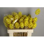 Stick Egg Muna Ø7cm Baroque Yellow 50cm
