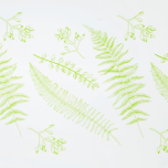Film FrostPrint Kile Ferns GREEN 0,80x100m