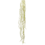 TILLANDSIA HANGING BUSH 12X 120cm