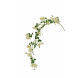 WILD ROSE HANGING BRANCH, 153 CM. CREAM