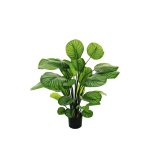 CALATHEA PLANT IN POT - 90cm - REAL TOUCH