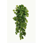 GRAPE HANGING BUSH X12, 113 CM.