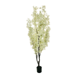 BOUGAINVILLEA PLANT WHITE 180CM