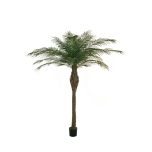 PHOENIX PALM PLANT W/1986 LVS 210CM