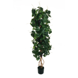 GRAPE PLANT W/294 LVS & 8 CLU 165CM