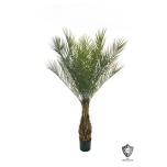 UV PROOF PLASTIC PHOENIX PALM 165CM