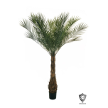 PHOENIX PALM - 210cm - UV PROOF PLASTIC