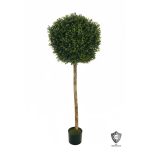 BOXWOOD TOPI - 150cm - UV PROOF PLASTIC