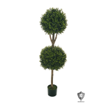 BOXWOOD PLAN - 150cm - UV PROOF PLASTIC
