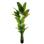 BIRD OF PARADISE PLANT IN POT - Green, 230cm - NATURAL LOOK