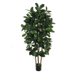 RUBBER PLANT TREE W/260 LVS 210CM