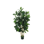 RUBBER PLANT TREE W/143 LVS 150CM