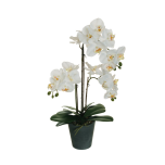 BIG REAL TOUCH PHALAENOPSIS 60CM