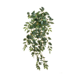 MISERIA HANGING BUSH X15 W/340 MINI GREEN CREAM #2