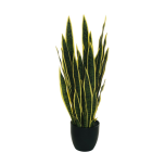 SANSEVIERIA PLANT W/33 REAL TOUCHE 87CM
