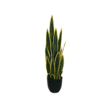 SANSEVIERIA PLANT W/24 REAL TOUCH 65CM