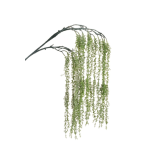 RUBBER POPULUS NIGRA HANGING BRANCH