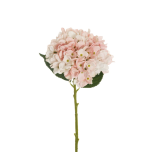 JULIET HYDRANGEA W/3 LVS, HEAD D. TT PINK WHITE #46