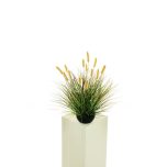 BLADE OF GRASS IN ROUND PLASTIC POT D. 17 CM, H. 8 CM W/14 SETARIA FLWS, 60 CM