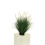BLADE OF GRASS (NO POT) W/FOAM BASE & 19 MINI SETARIA FLWS, 60 CM