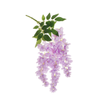 WISTERIA SINENSIS HANGING BUSH X3 W/4 LVS, 60 CM. - LILAC