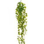 POTHOS HANGING BUSH X12, W/412 REAL TOUCH LVS, 180 CM