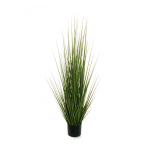 BLADE OF GRASS IN PLASTIC POT D. 14 CM, H. 12,5 CM, 120 CM