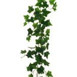 IVY GARLAND W/RAMIFICATIONS, 170 CM