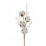 COTTON SPRAY - White - NATURAL BLOOMS