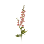 DELPHINIUM SPERONELLA SPRAY - Pink, 87cm