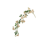 ROSE WILD-ROSE HANGING BRANCH - Pink/Cream, 153cm