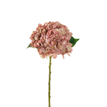 HYDRANGEA JULIET - Mauve/Cream, 50cm - Head Ø 18cm