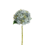 HYDRANGEA JULIET - Autumn Light Blue, 50cm - Head Ø 18cm