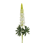 LUPIN - White, 108,5cm