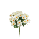 DAISY BUSH - White/Yellow, 55cm