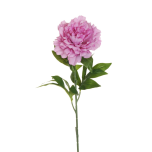 PEONY - Pink, 76cm -  Head Ø 14cm