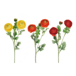 RANUNCULUS SPRAY - Different Colors #2