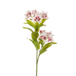 ALSTROEMERIA - White/Fuchsia/Burgundy - 3D Printing REAL TOUCH