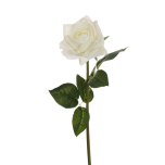 ROSE DIAMOND-ROSE - White - REAL TOUCH