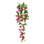 BOUGAINVILLEA HANGING BUSH - Purple, 120cm