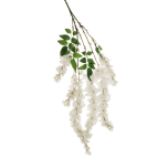 WISTERIA SINENSIS SPRAY HANGING - White