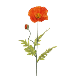 POPPY SPRAY - Orange