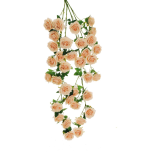 ROSE FRANCE-ROSE GIANT HANGING BUSH - Light Salmon