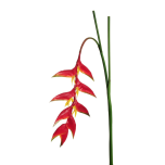 HELICONIA BRANCH HANGING BIG - Red/Orange, 142cm - REAL TOUCH