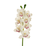 CYMBIDIUM SPRAY - White/Pink, 77cm - REAL TOUCH