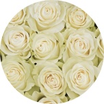 R GR MONDIAL 40CM (Ayanna)