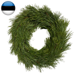 Krans Pärg MÄND 27cm (EST)