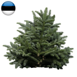 Abies Nobilis Nuluoksad 5kg (EST)