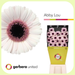 Germini Diamond Abby Lou *20 - Emadepäev 2026