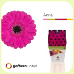 Germini Diamond Anna *20 - Emadepäev 2026